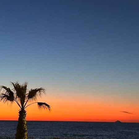 Ferienwohnung Petite Endroit Splendide. Six-Fours-les-Plages Exterior foto