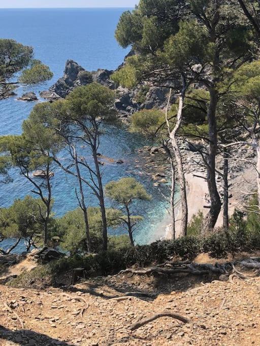 Ferienwohnung Petite Endroit Splendide. Six-Fours-les-Plages Exterior foto