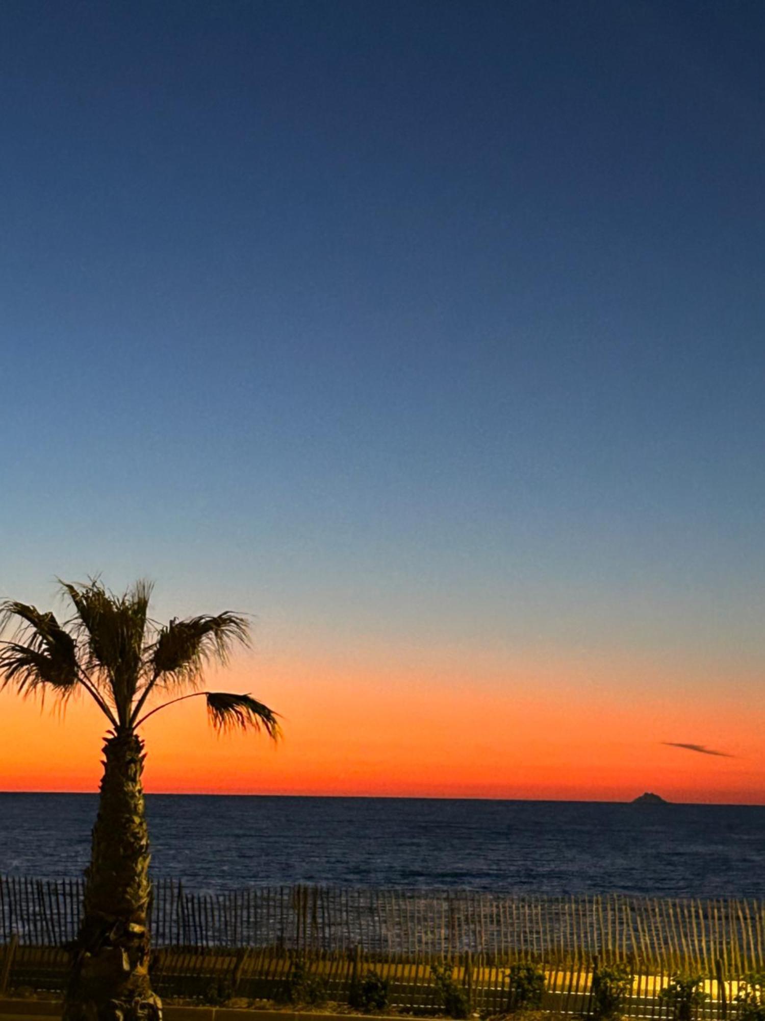 Ferienwohnung Petite Endroit Splendide. Six-Fours-les-Plages Exterior foto
