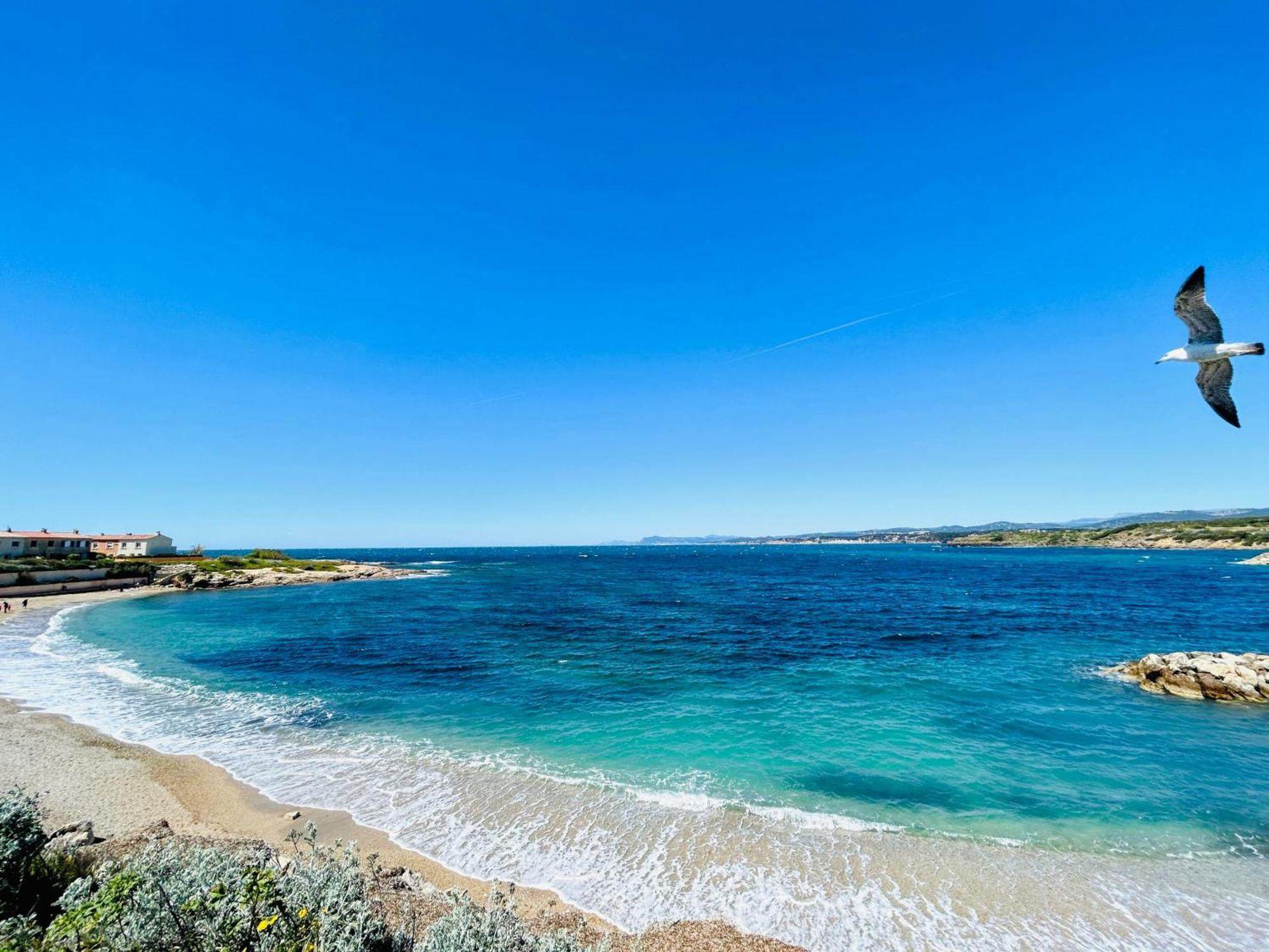 Ferienwohnung Petite Endroit Splendide. Six-Fours-les-Plages Exterior foto